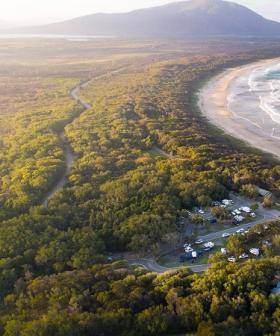 Woman killed, man injured in shark attack on NSW Mid North Coast