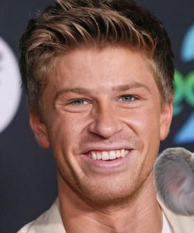 Robert Irwin’s Koala Cameo Steals the Show in Zootopia 2