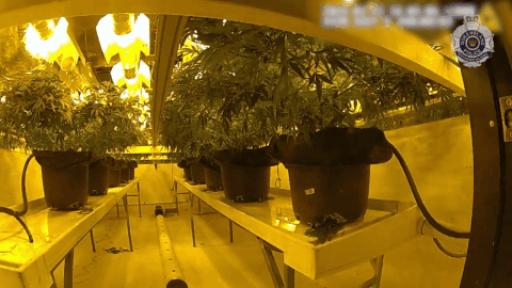 WATCH: Police uncover underground bunker during Gold Coast drug raid