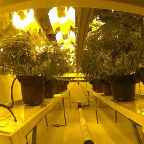 WATCH: Police uncover underground bunker during Gold Coast drug raid