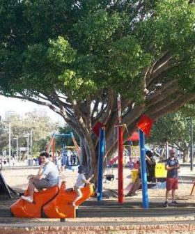Council probe after Gold Coast playground injury