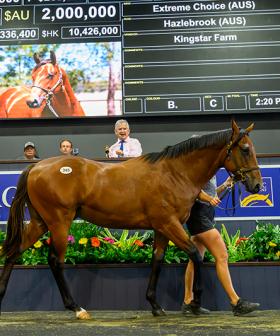 Colt by superstar sire Extreme Choice tops day 2 of Magic Millions Yearling Sale