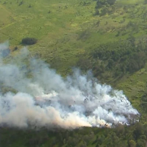 Two killed in fiery light plane crash on northern Gold Coast