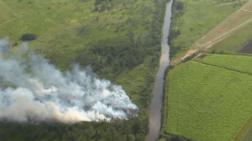 Two killed in fiery light plane crash on northern Gold Coast
