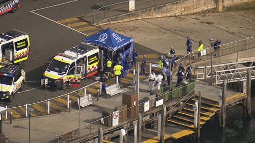 Boy fighting for life after shark attack at Sydney Harbour beach