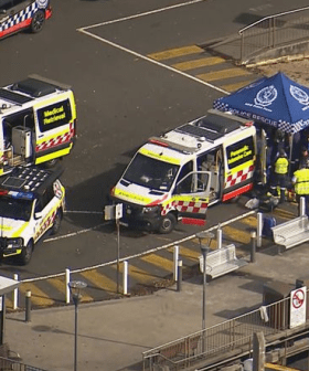 Boy fighting for life after shark attack at Sydney Harbour beach