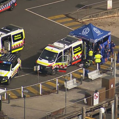 Boy fighting for life after shark attack at Sydney Harbour beach