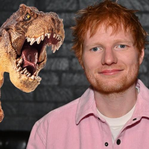 Ed Sheeran’s Unbelievable Prehistoric Gift for His Mates