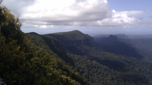 Five people rescued after getting lost in bushland