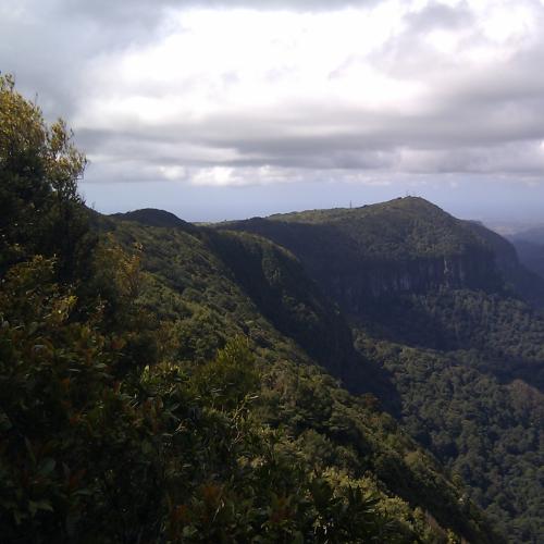Five people rescued after getting lost in bushland