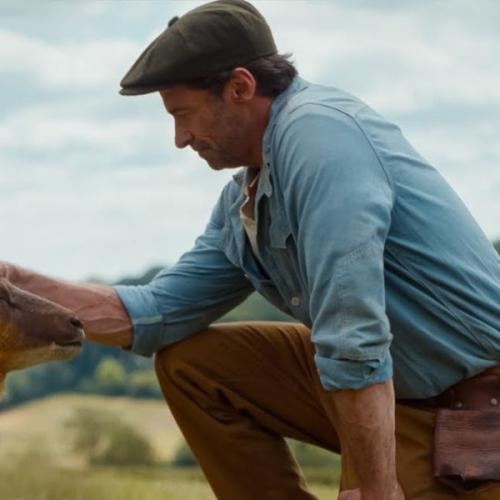 Hugh Jackman Leads Star‑Studded Cast in The Sheep Detectives