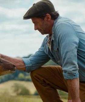 Hugh Jackman Leads Star‑Studded Cast in The Sheep Detectives