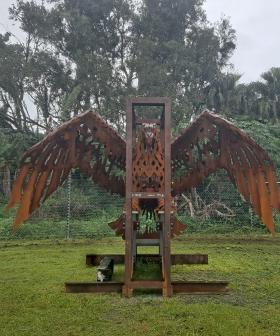 Kirra's famous "Rusty Chook" ready to be returned to its rightful home