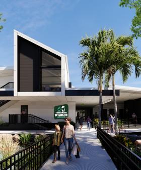 Construction begins on world‑class Currumbin Wildlife Institute
