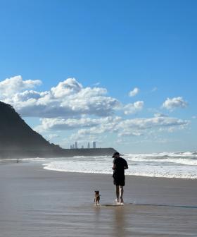 Dogs to be forced on-leash amid construction at popular Gold Coast dog beach