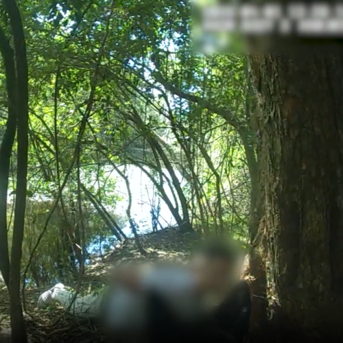 WATCH: Teens arrested over violent southeast crime spree