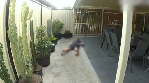 WATCH: Teen jumps into cactus while fleeing police following wild crime spree