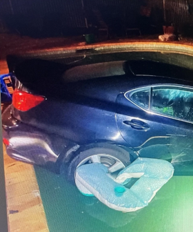 Chaotic stolen car joyride comes to crashing end in backyard pool