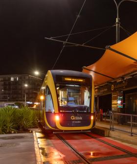 Burleigh bound: Trams hit the tracks for daytime testing