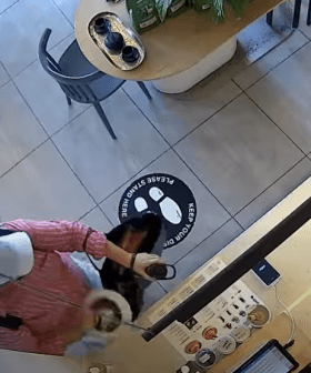 WATCH | Serial tip jar thief arrested over cafe crime spree