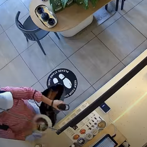 Search underway for serial thief targeting Gold Coast cafes