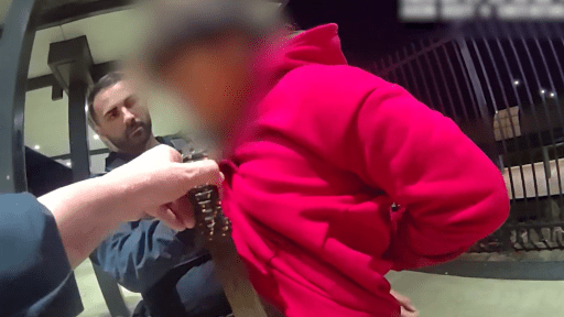 WATCH: Teen caught with monster machete stashed down pants
