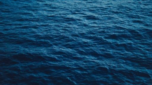 Miracle Broadwater rescue after tinnie capsizes off Gold Coast