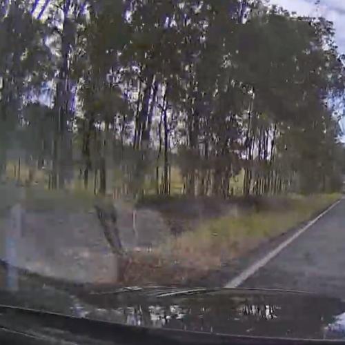 “Absolutely disgusting”: Qld police nab p-plater speeding past unmarked cop car
