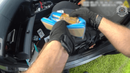 Police charge property thief after lengthy GC crime spree