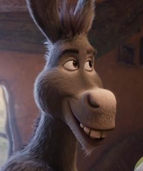 Shrek 5 First Trailer: The Ogre is Back, But Things Have Changed