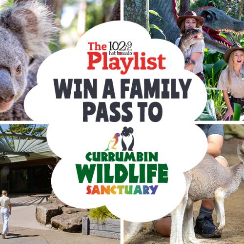 Win a family pass to Currumbin Wildlife Sanctuary!