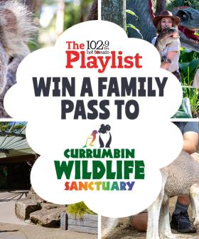 Win a family pass to Currumbin Wildlife Sanctuary!