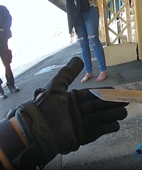 Jack's Law hits milestone with hundreds of weapons taken off Gold Coast streets