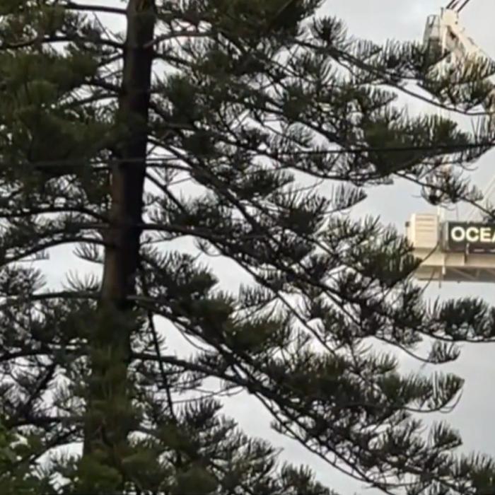 Gold Coast