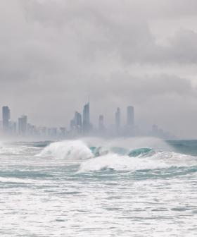 Whale watching boat damaged by wild Gold Coast surf