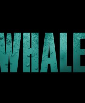 The Whalefall Trailer Just Unlocked New Fears