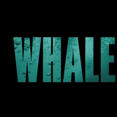 The Whalefall Trailer Just Unlocked New Fears