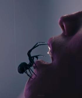 Why is this scene from CRAWLERS turning people into arachnophobes?