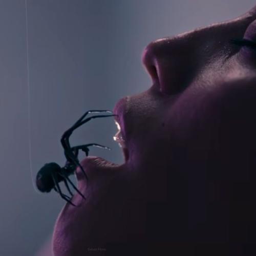 Why is this scene from CRAWLERS turning people into arachnophobes?
