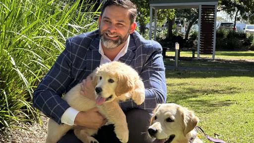 Council urges Gold Coasters to register dogs before deadline