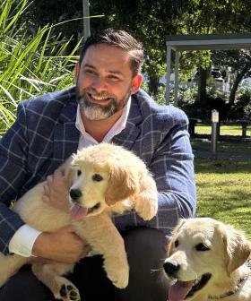 Council urges Gold Coasters to register dogs before deadline