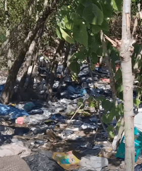 Clean-up underway at The Spit after illegal dumping outrage