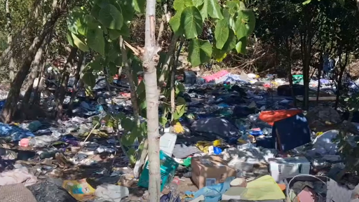 Clean-up underway at The Spit after illegal dumping outrage