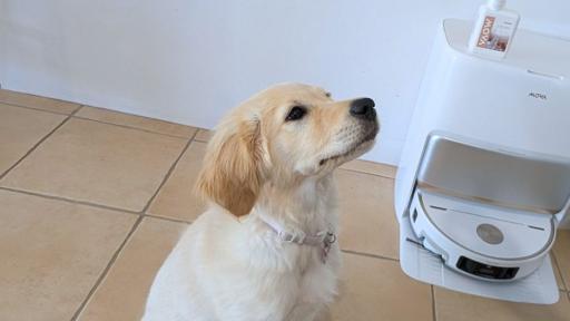 We Put the MOVA V70 Ultra Robovac to the Test in a House with a New Pet