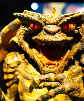 Gremlins 3 is coming, Do you still remember the 3 ownership rules?