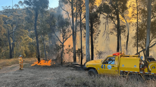 Firefighters battling large bushfire on the Gold Coast