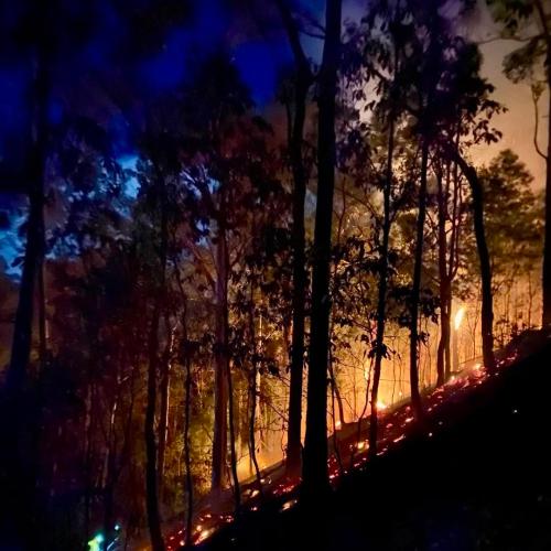 Firefighters battle bushfire in Gold Coast hinterland