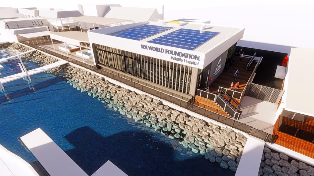 Southern Hemisphere's first marine wildlife hospital to open at Sea World