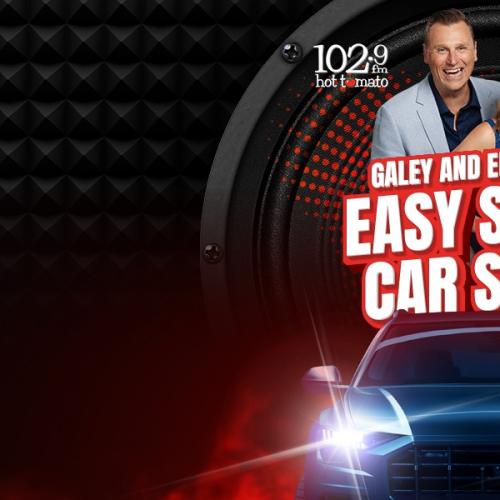 Galey and Emily Jade's Easy Secret Car Sound